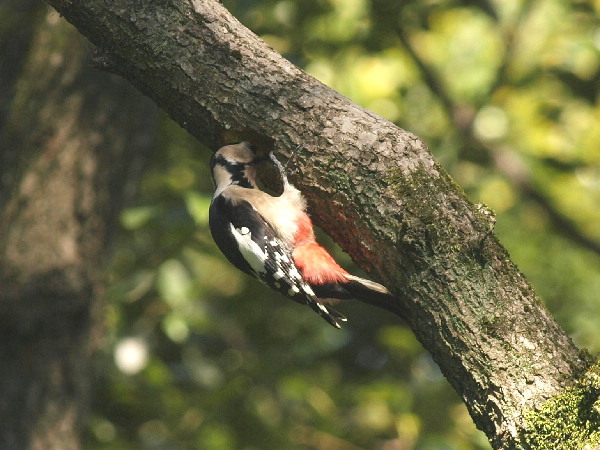f0208666_8554359.jpg