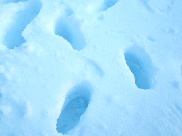 f0088569_12411816.jpg