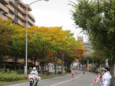 e0106372_1329266.jpg