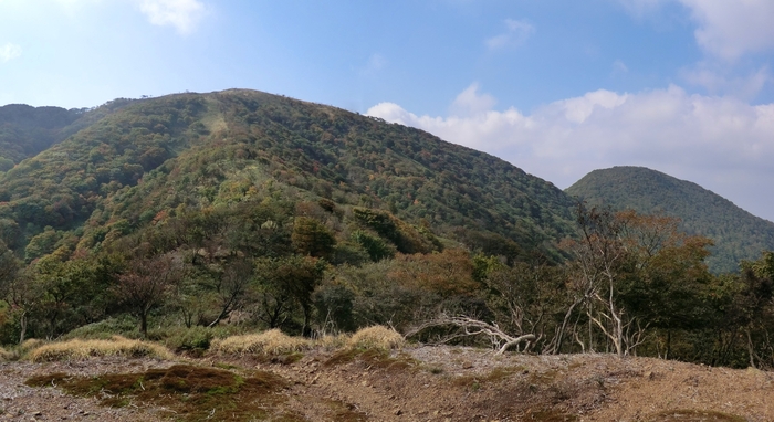 b0185573_846019.jpg