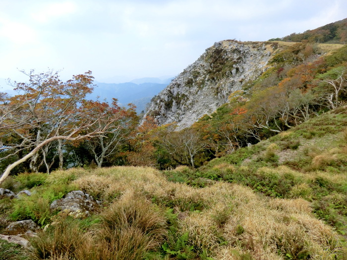 b0185573_9454429.jpg