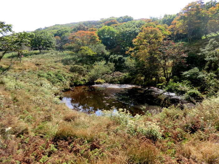 b0185573_971799.jpg