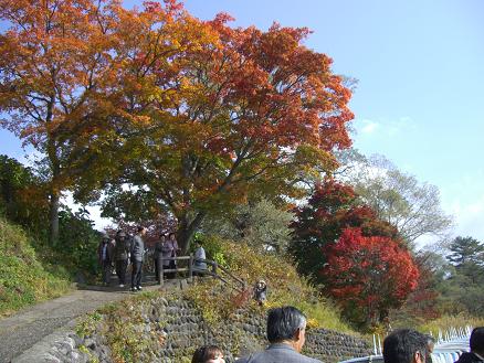 e0240973_1231685.jpg