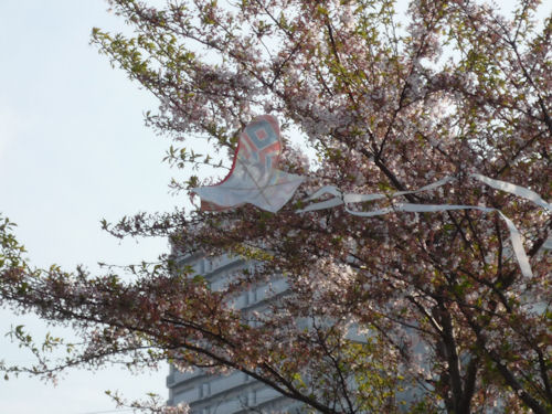 e0158775_2223250.jpg