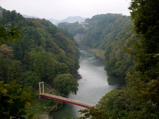 f0054075_1246359.jpg