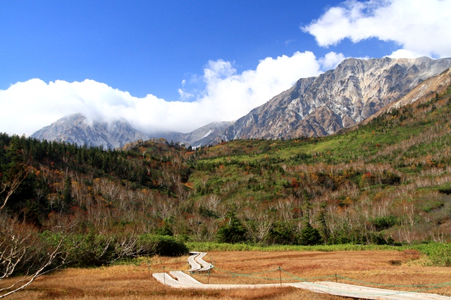d0126577_2034646.jpg