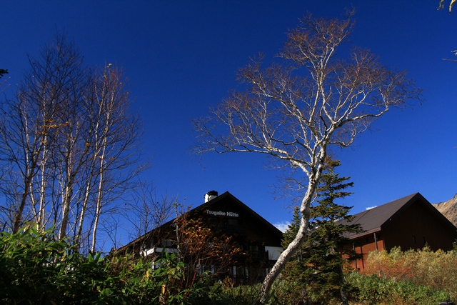 d0126577_204971.jpg