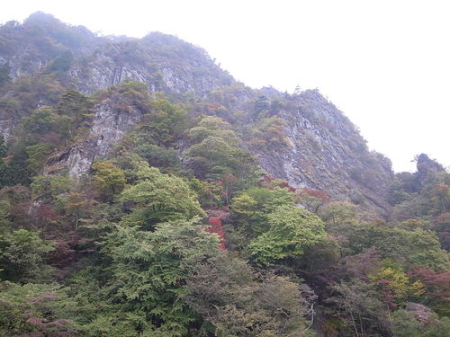a0094280_9424510.jpg