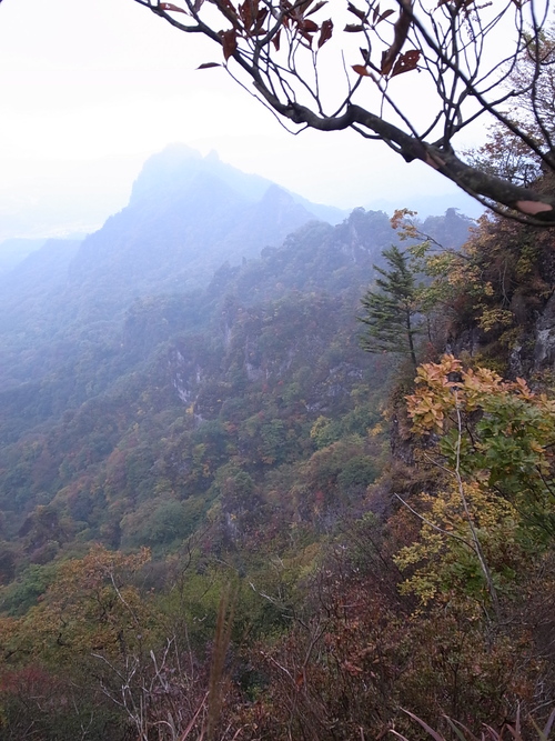 a0094280_9431375.jpg