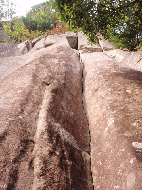 f0223480_2205372.jpg