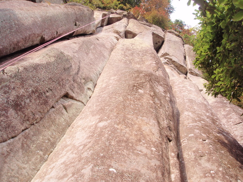 f0223480_2212227.jpg