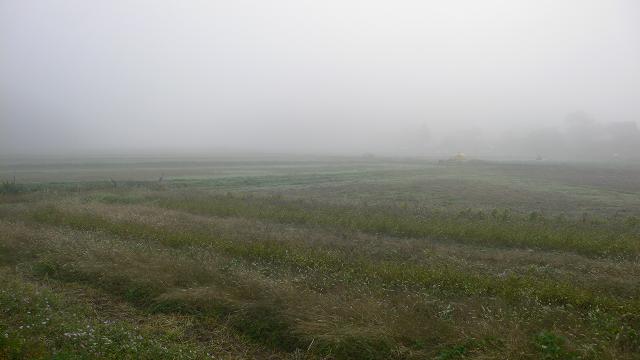 b0042882_1832125.jpg
