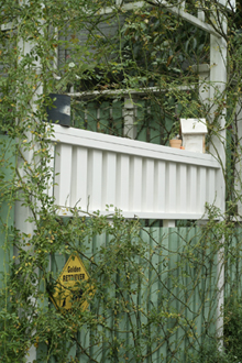 f0166982_2182739.jpg