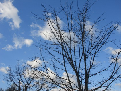 a0247585_63525.jpg
