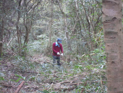 f0053885_065617.jpg