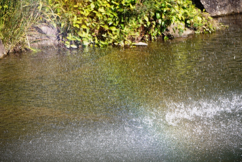 a0127090_1152630.jpg