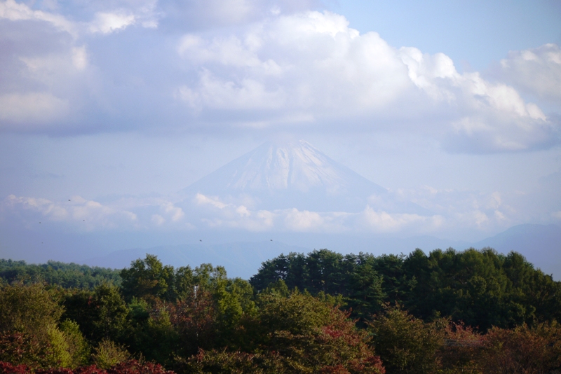 a0127090_1374951.jpg