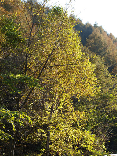 f0236291_104815.jpg