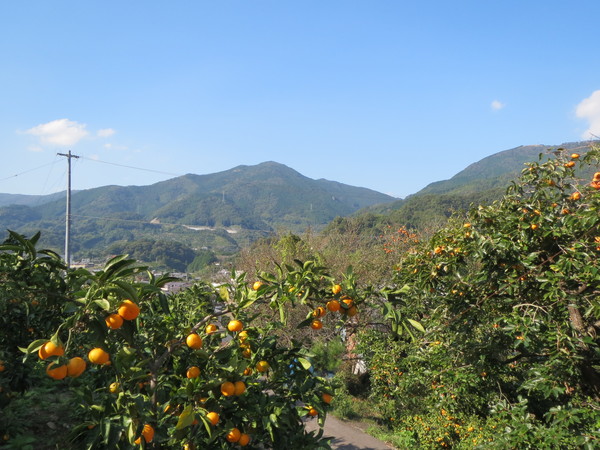 e0111793_21474537.jpg