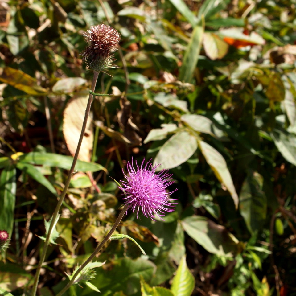 f0236201_8232734.jpg