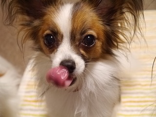 b0243804_19235530.jpg