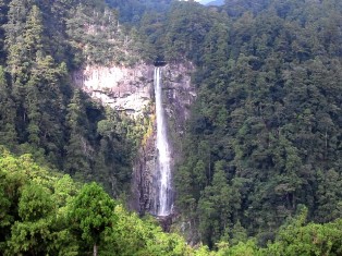 b0079206_1582722.jpg