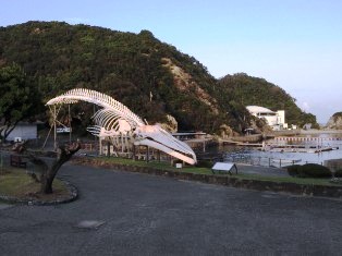 b0079206_1654899.jpg