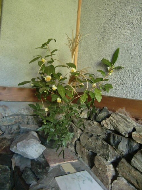 b0126408_23502978.jpg