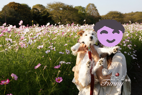 c0031808_22145132.gif