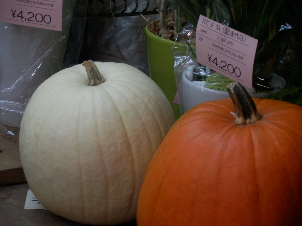 c0062511_20105479.jpg