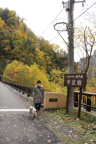 a0109914_2035980.jpg