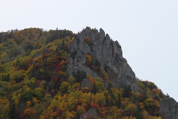 a0109914_2048134.jpg