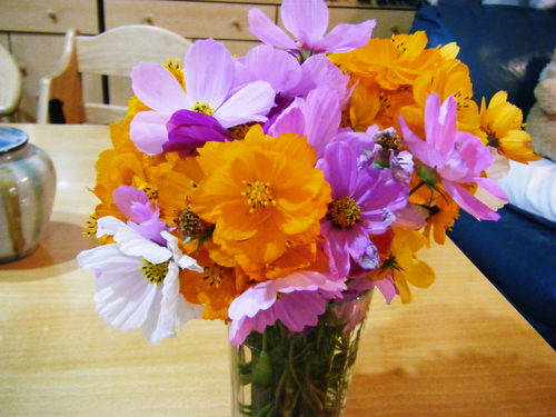 c0118715_10135348.jpg
