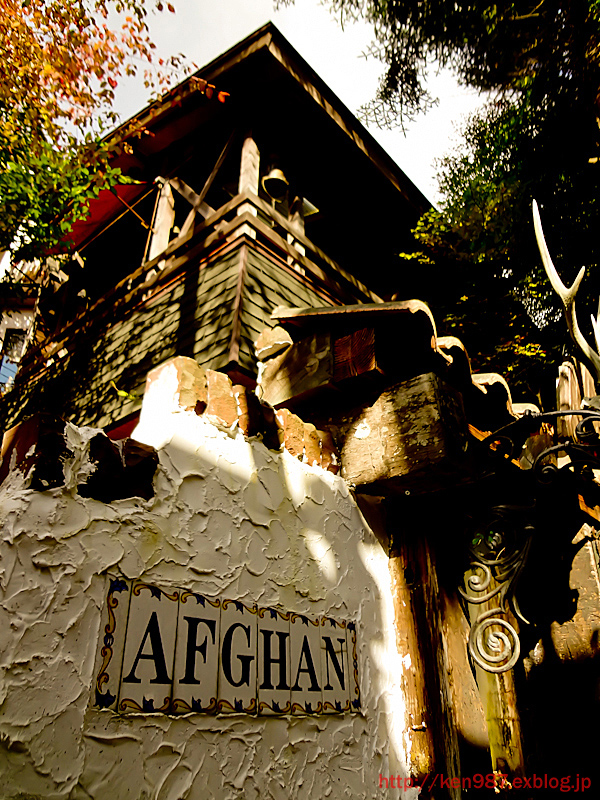 a0070118_8461446.jpg