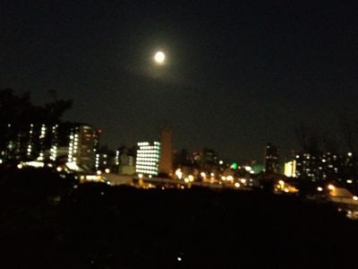 a0098418_18311228.jpg