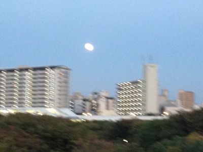 a0098418_1831927.jpg