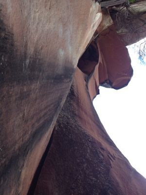 c0210618_22572518.jpg