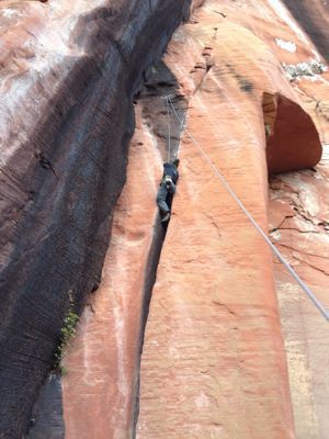 c0210618_22575644.jpg