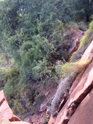 c0210618_22584930.jpg