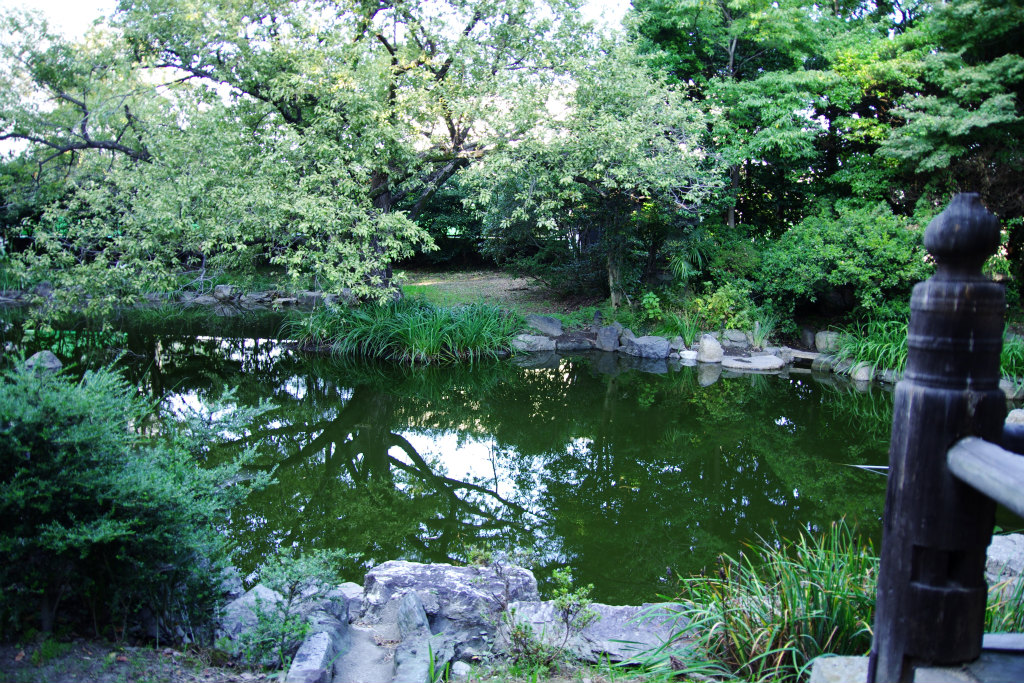 d0250028_18525870.jpg