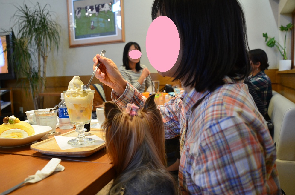 f0124830_1303836.jpg