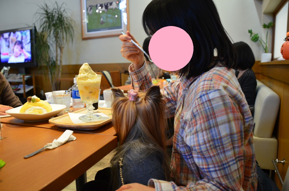f0124830_131163.jpg