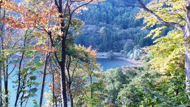 f0131535_21213254.jpg