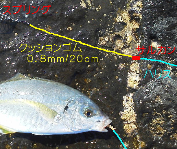a0107341_188436.jpg