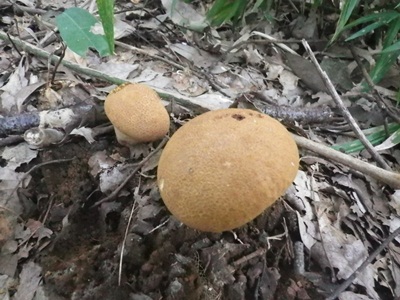 c0180341_22444618.jpg