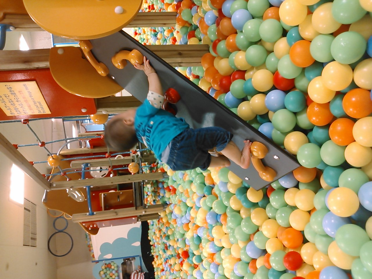 c0124646_334462.jpg