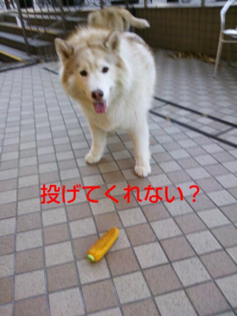 e0121548_20115293.jpg