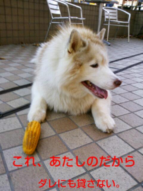 e0121548_2091030.jpg