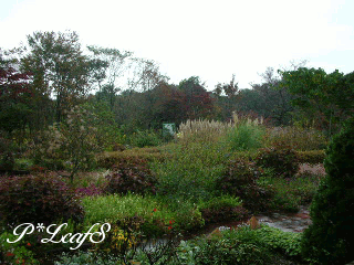 c0176651_17451173.gif