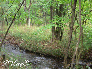 c0176651_17452433.gif